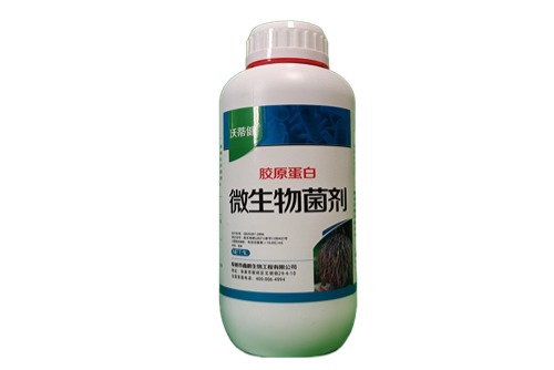 �zԭ����΢�������